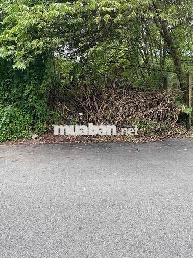 Đất thổ cư, hẻm xe hơi 16 chỗ, 5x25m Hẻm 287 Trần Quang Diệu