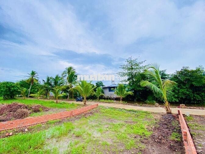 Đất thổ 330m2 ngay TT Trảng Bàng, SHR, dân cư đông, xây tự do, 980tr