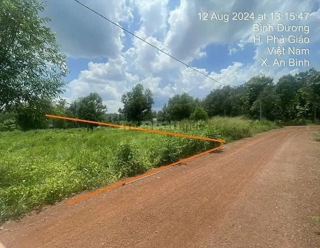 Công ty Đấu giá hợp danh Lam Sơn Sài Gòn thông báo đấu giá tài sản