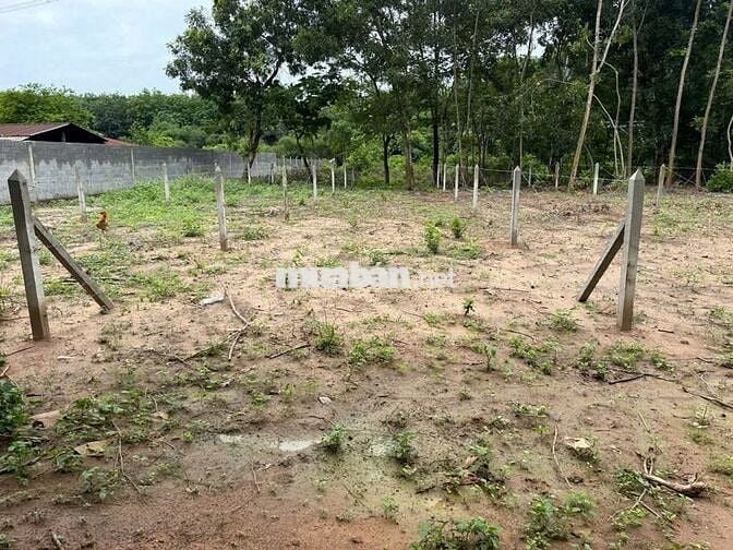 Chủ ngộp cần sang hơn 1000m2 đất vườn có thổ, SHR giá rẻ liền tay