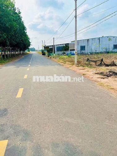 Đất xây trọ gần TT lớn nhất phú giáo HCM giá 1ty50/750m(15*50 TC 300m)