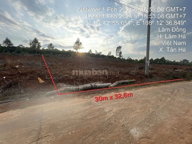 Công ty Đấu giá hợp danh Lam Sơn Sài Gòn thông báo đấu giá tài sản