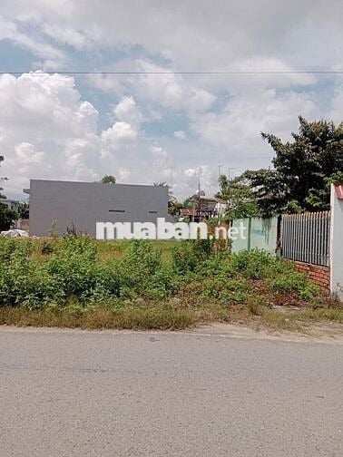 Gia Đình Đi Nước Ngoài Cần Chuyển Nhượng Gấp Đất ở Tân Thông Hội CủChi