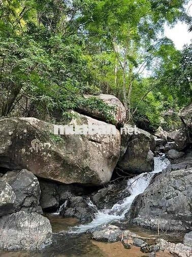 CẦN TIỀN BÁN GẤP ĐẤT VƯỜN GIÁP SUỐI - GẦN HỒ TRỊ AN  chỉ 850tr/ sào