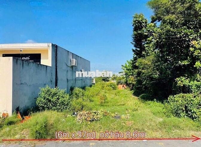 Mặt Tiền Kinh Doanh đường nhựa 8m Thị Trấn Củ Chi 273m2 Sổ Hồng Riêng