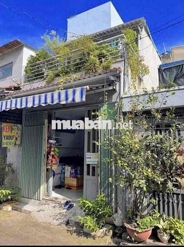 Bán nhà riêng tại Đường Dương Đình Cúc, Xã Tân Kiên, Bình Chánh, TP.HC