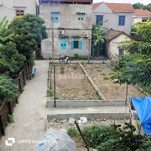 Cần Bán lô đất Đại Định - Tam Hưng - Thanh Oai - HN: