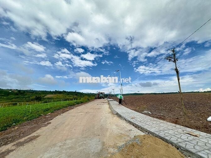 ĐẤT VIEW ĐỒI SỔ RIÊNG, CHỈ 730 TRIỆU SỞ HỮU NGAY 1.200M VEN ĐÀ LẠT!