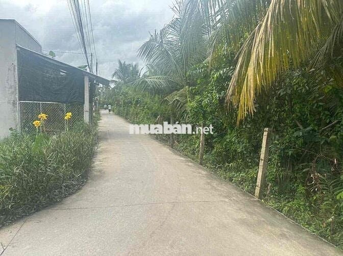 Đất nhà em cần cắt ra bán 800m2