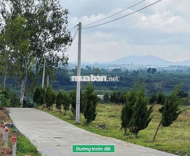 Bán lô đất đẹp ven Đà Lạt, săn mây buổi sáng giá chỉ 550tr