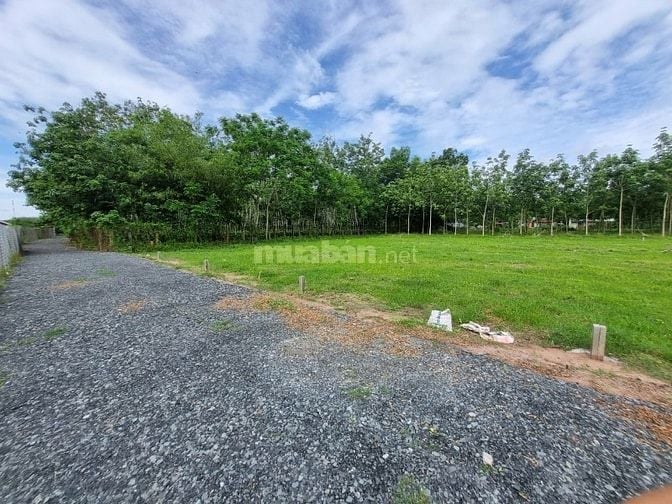 5x35 full thổ, đường thông. Sổ sẵn. Gần quốc lộ. 395tr 