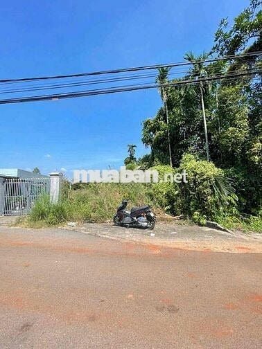 Đất Tân An mặt tiền DX 125 gần chợ Bến Thế nhựa thông 5m i hình