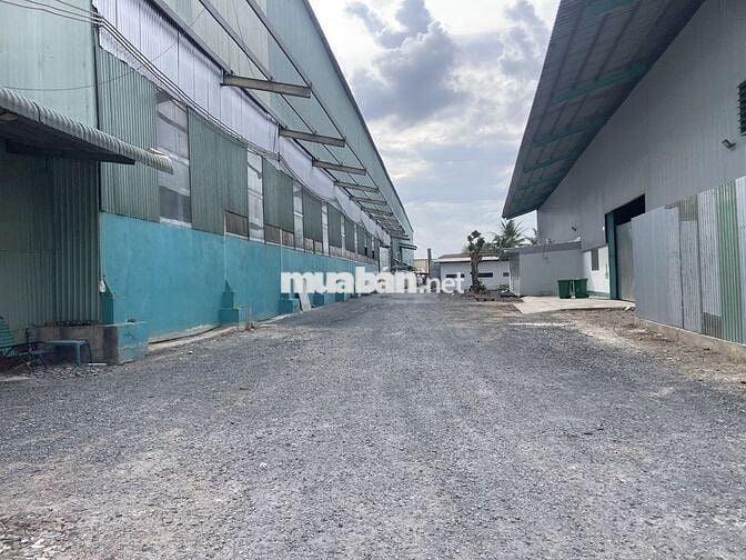 Cho thuê kho xưởng 6.000m2 Hướng Thọ Phú, Tân An,Long An (cũ), giá tốt