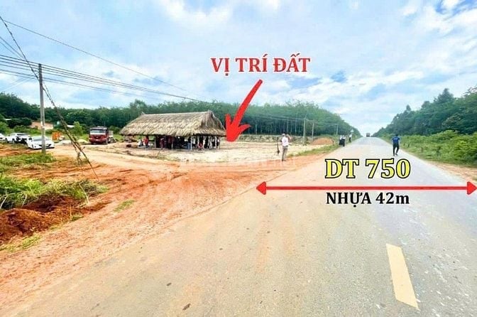 Chính chủ Ngộp BÁN GẤP LÔ ĐẤT MẶT TIỀN DT750 – CƠ HỘI SINH LỜI CỰC CAO