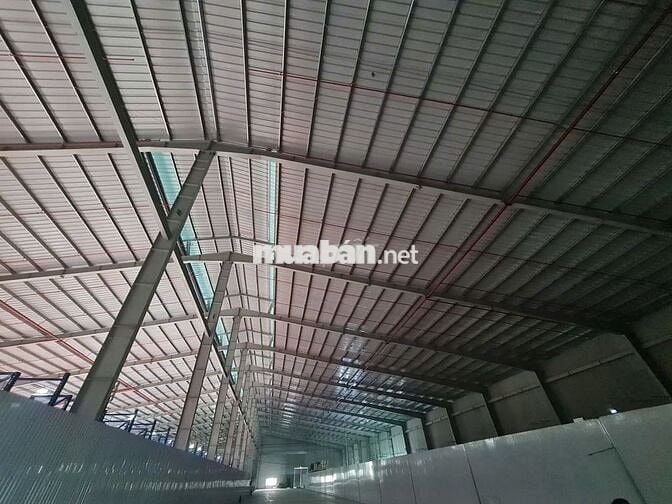 CHO THUÊ KHO XƯỞNG CHUẨN KCN 2.100m² BẾN LỨC CONTAINER 40ft THOẢI MÁI