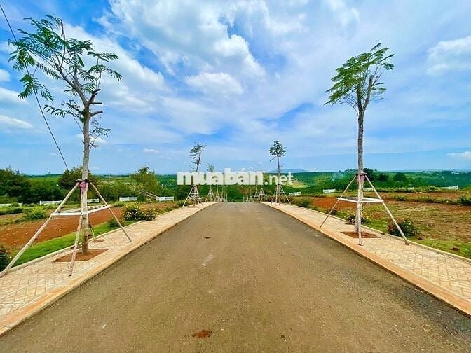 Bán đất chính chủ thanh toán 739tr sang sổ ngay tại Bảo Lộc