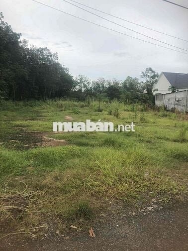 Ông có nền đất ở ngay mặt tiền đường huyện 462m2 muốn bán giá 670tr