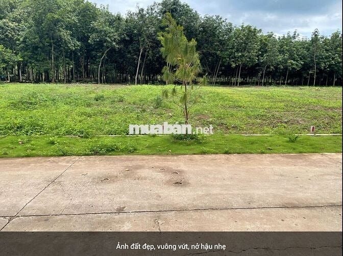 Sang nhanh 380m2 đất có thổ cư giá rẻ sau lưng chợ thuộc TTHC Phú Giáo