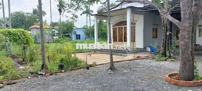 Cần cho thuê nhà ở, vị trí đẹp, chính chủ, có thể cho SV ở ghép.