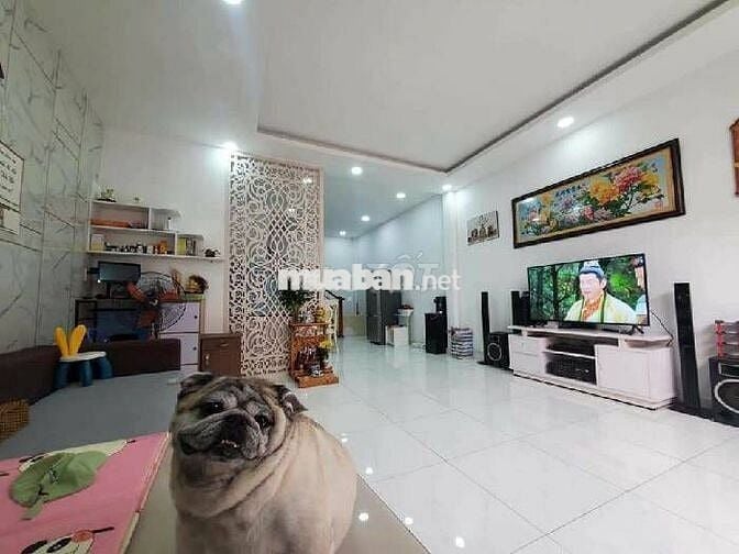 NHÀ MỚI Ở NGAY TẠI ĐƯỜNG HOÀNG HOA THÁM DIỆN TÍCH 53 M2 GIÁ CHỈ 6,5 TỶ