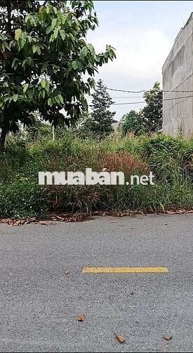 Bán đất Kcn Nam Tân Uyên 5x15m full thổ cư  phường uyên hưng tân uyên