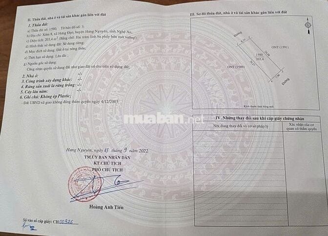 Đất xóm 8, xã Hưng Nguyên, Nghệ An. Dt 203,4m2 mặt tiền đường 18m