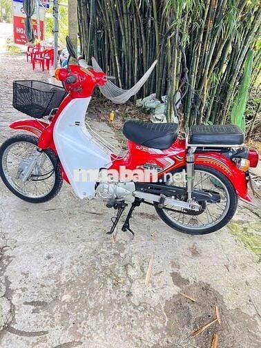 cup 50 màu hót đời mới