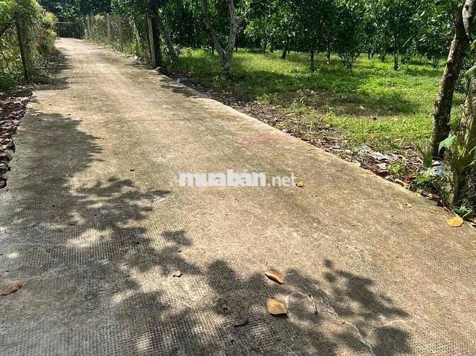 1000m ĐẤT CÓ THỔ CƯ XUÂN THIỆN