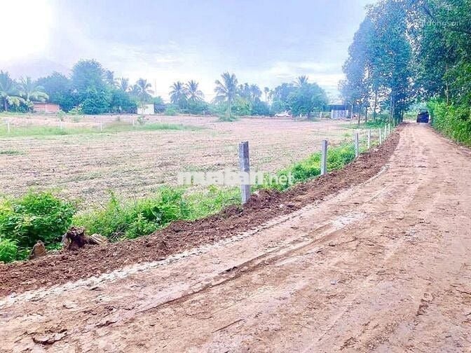 CẦN BÁN LÔ ĐẤT 1000M2 ĐƯỜNG HƯƠNG LỘ 2, TRẢNG BÀNG TÂY NINH GIÁ 1 TỶ 2