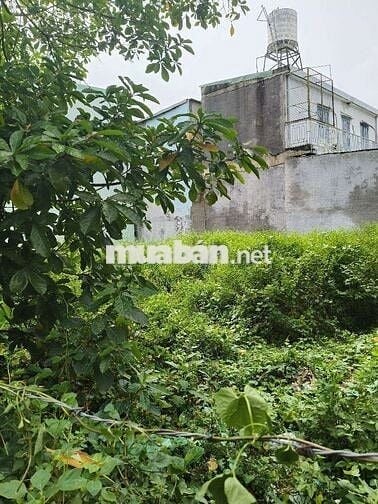 BÁN LÔ ĐẤT HIẾM 5,5X15M MẶT TIỀN ĐƯỜNG 7M TAO4 - GIÁP GÒ VẤP