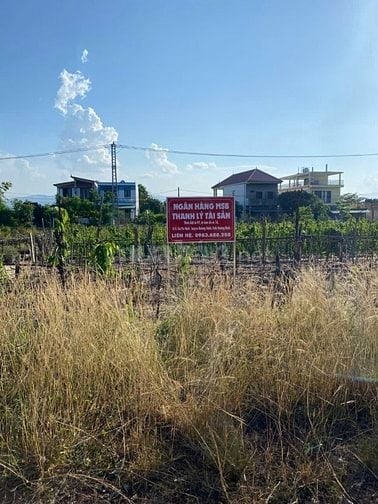 TBĐG Thửa đất 97, tờ bản đồ 18 tại xã Quảng Ninh, tỉnh Quảng Trị