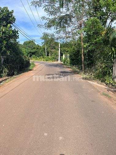 Cần bán đất ấp 18 Gia Định, xã Bảo Quang, thành phố Long Khánh, tỉnh Đ