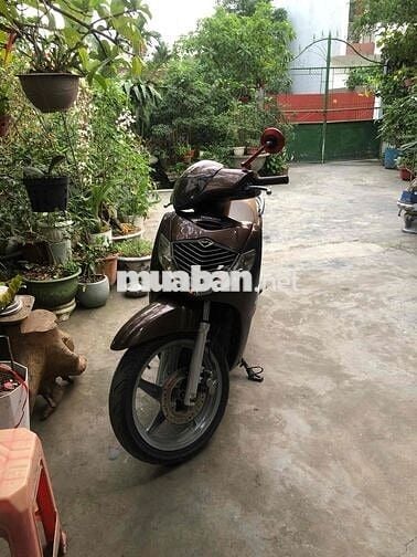 bán sh 150 cà phê 2008 chính chủ