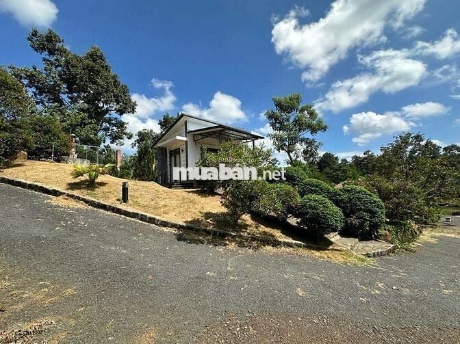 Ngộp nên bán lỗ nặng lô đất 1622m2 giá 300triệu có sẵn khuôn viên vườn