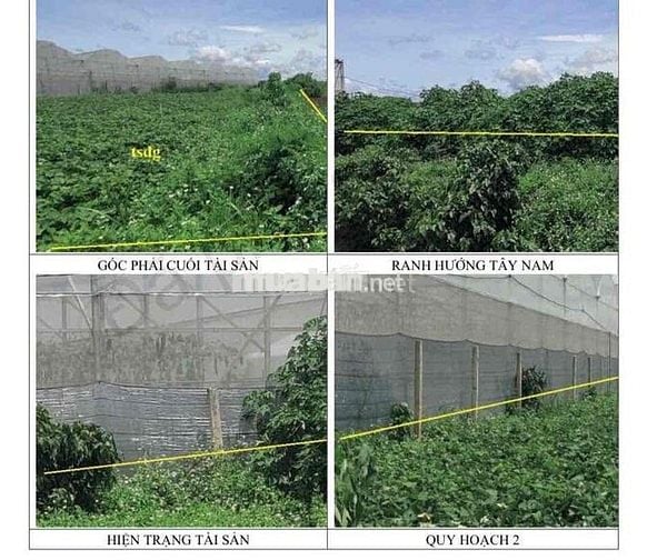 ❌NGỘP BANK CẦN BÁN GẤP ĐẤT 1TỶ6 NGÂN HÀNG ĐÃ ĐỊNH GIÁ HƠN 2TỶ  📍Diện