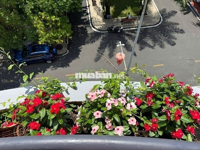 𝐂𝐇Í𝐍𝐇 𝐂𝐇Ủ 𝐂𝐇𝐎 𝐓𝐇𝐔Ê 𝐂𝐇𝐃𝐕