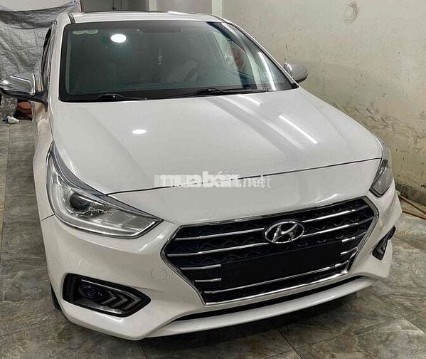 Ecsent đặc biệt doi 2020 chay 34 nghìn cây