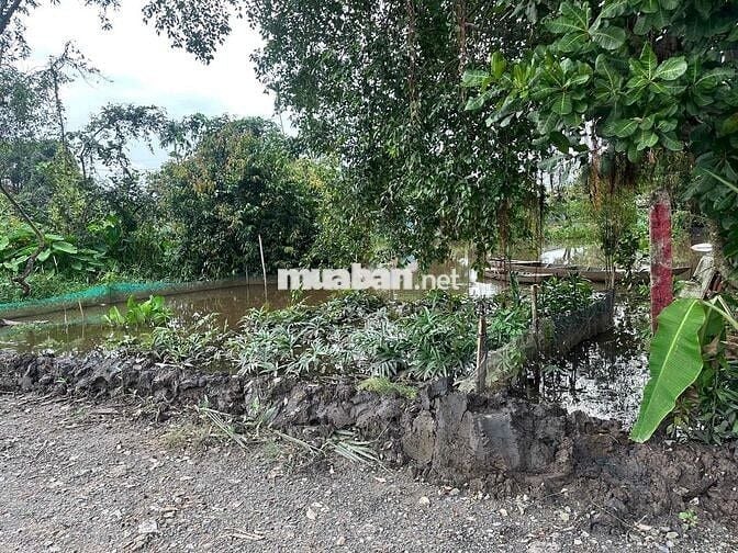 4400m2 có 300m2 thổ cư bán 22 tỷ