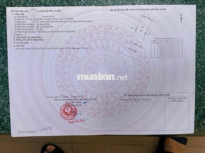 Bán Gấp dãy trọ có 2 kiot- 10phòng ở Tân Thông Hội DT256m2,giá 980