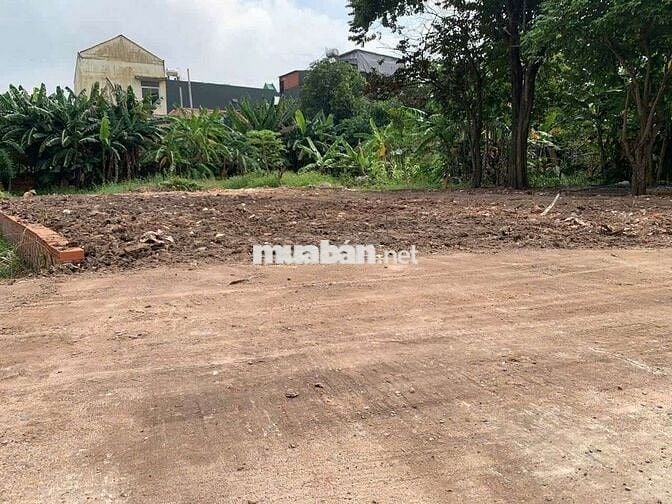 Đất thổ cư 1/Trần Thị Bốc-Thới Tam Thôn-Hóc Môn.Dt 148m2~4,5ty