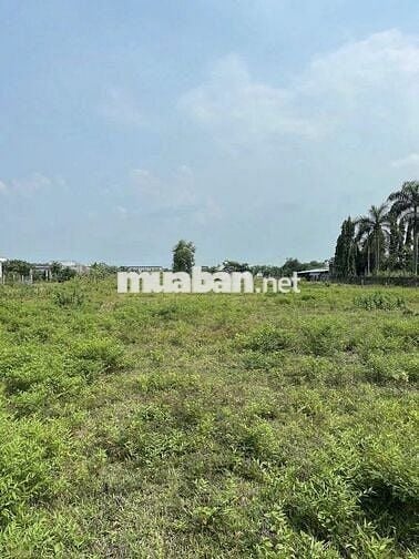 Chính chủ bán đất thổ cư giá rẻ - ĐỨC HÒA hơn 700m2