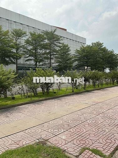 BÁN PHÒNG TRỌ – CHI 4 Tỷ, DT 5,15x14,5 74,6m2, NGAY CHỢ BÌNH TRIỆU