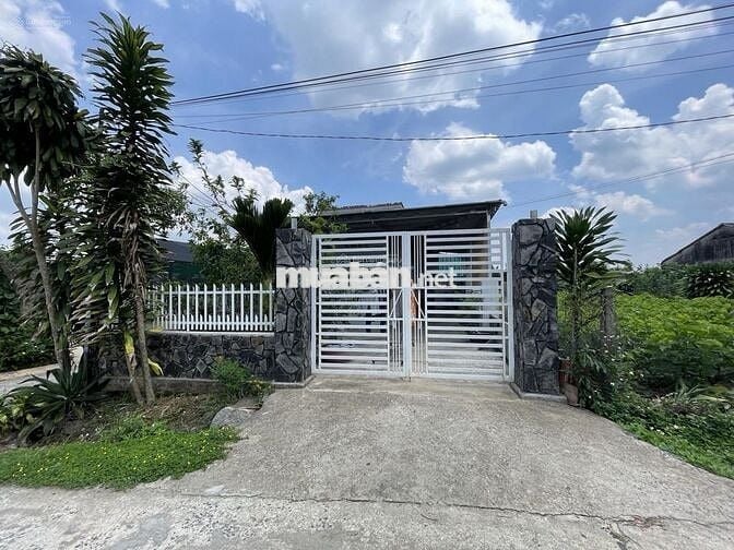 Cần bán lỗ gấp trong tuần 22x57,5m, 1266m2 giá 300triệu sẵn nhà cấp 4