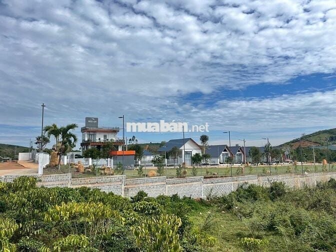 Cần tiền trả nợ bán lỗ lô 1920m2 giá 300triệu Phường Lộc Phát- Bảo Lộc