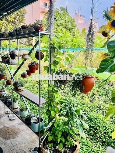 CHO THUÊ TRỌ KHU VĂN HÓA TÂY ĐÔ. 2TR5. 40MV. GÁC. 1pn. Ml.