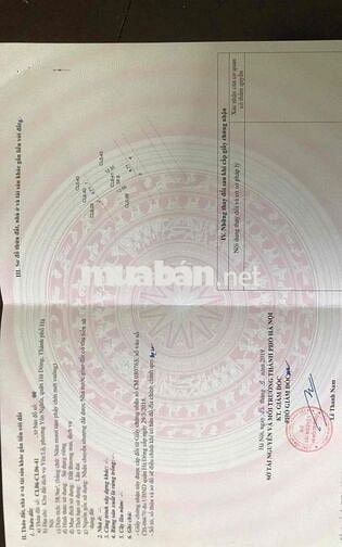 chính chủ bán lô đất dịch vụ yên nghĩa tuyệt đẹp đầu tư cam kết thắng