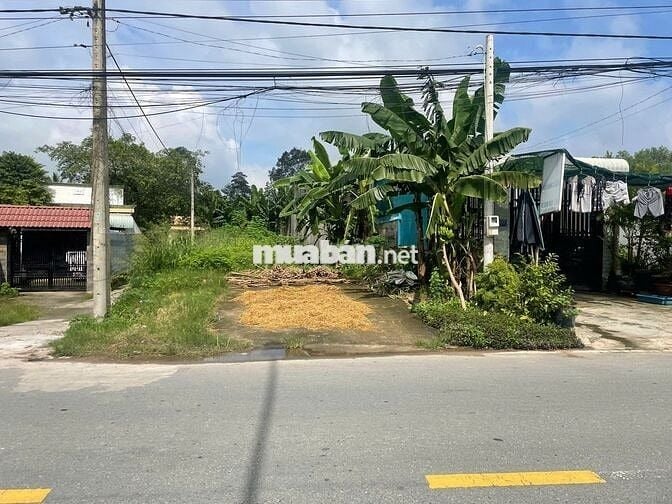 BÁN ĐẤT THỔ CƯ ĐƯỜNG CÂY TRÔM MỸ KHÁNH - THÁI MỸ - SỔ HỒNG RIÊNG