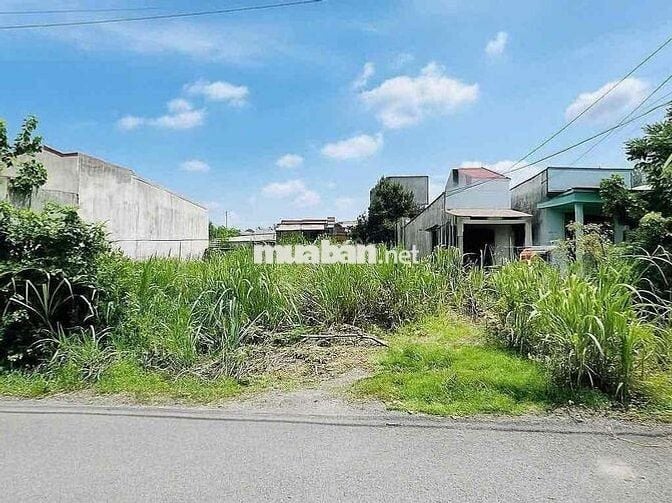 🏡 BÁN ĐẤT ẤP 5 – XÃ PHƯỚC VĨNH AN – HUYỆN CỦ CHI 🏡