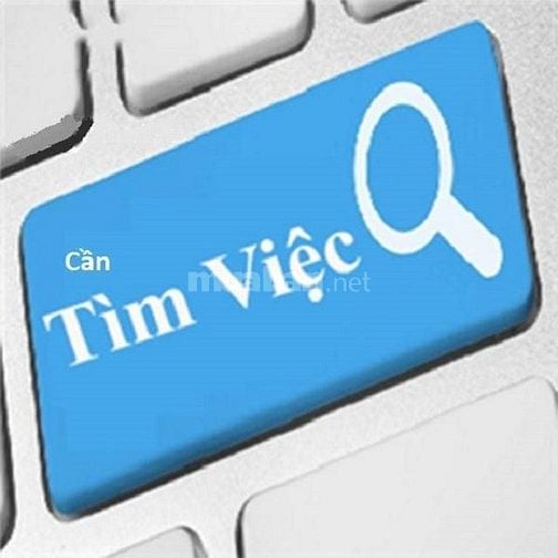 TÌM VIỆC KẾ TOÁN THUẾ/KẾ TOÁN TỔNG HỢP/KẾ TOÁN TRƯỞNG