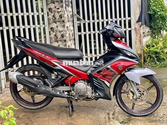 ex 135 zin dọn kiểng